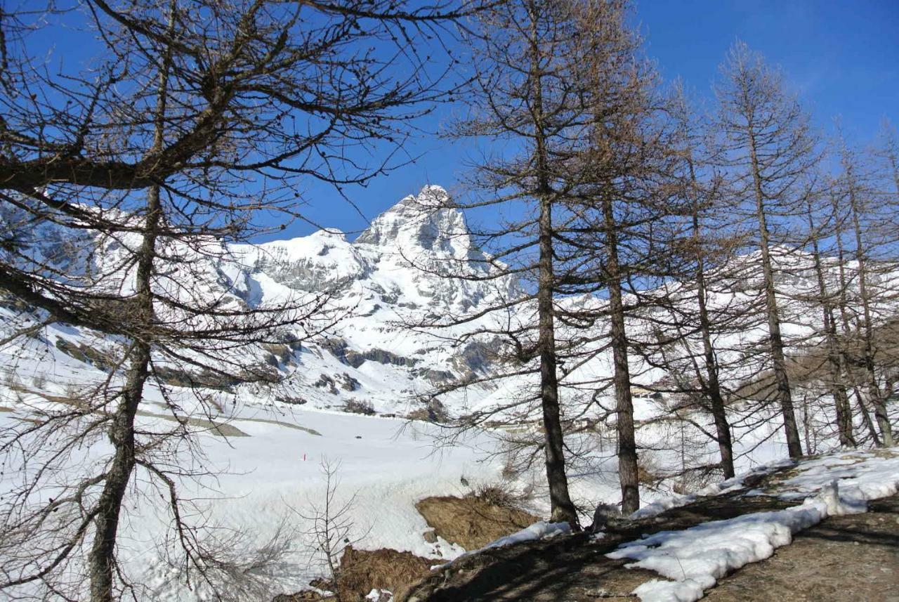 President Palace - Breuil Cervinia -Appartamento 6 - Cir 0634 Kültér fotó