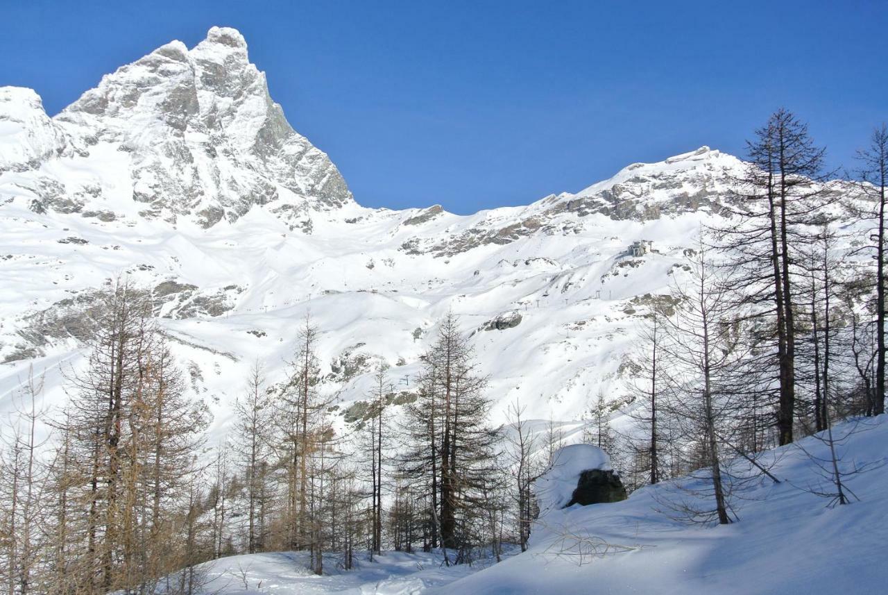 President Palace - Breuil Cervinia -Appartamento 6 - Cir 0634 Kültér fotó